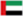 United Arab Emirates flag